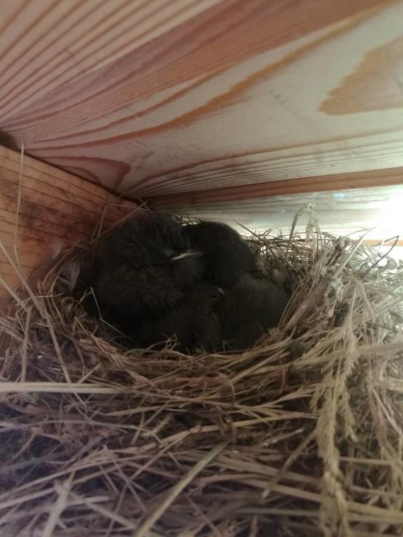 Kam In Hotel Krivopillja Kültér fotó