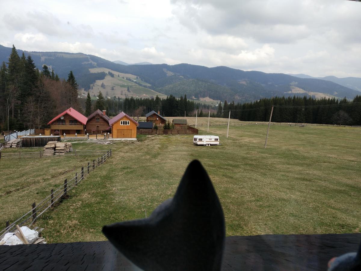 Kam In Hotel Krivopillja Kültér fotó